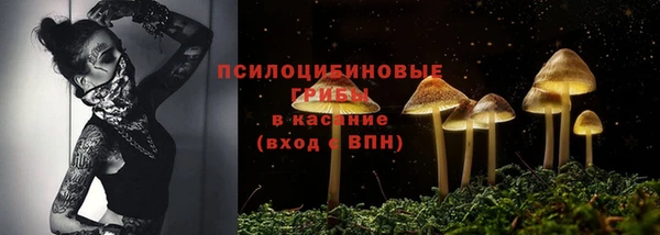 spice Алексин