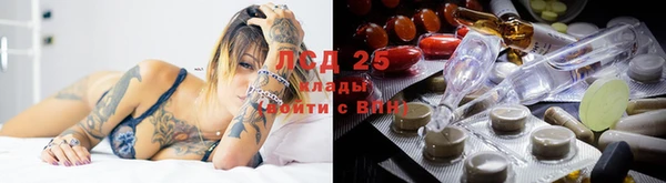 spice Алексин